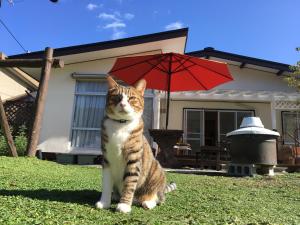Domácí mazlíčci ubytovaní s hosty v ubytování Shinshu Wakaho Gibier B&B