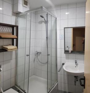 a bathroom with a shower and a sink at Landgasthof Frankentor in Wasserlosen