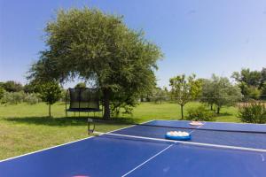 Tenis a/nebo squash v ubytování Beautiful villa Divina with large pool, sauna & hydrommassage near Pula, high level of privacy nebo okolí