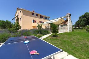 Stolní tenis v ubytování Beautiful villa Divina with large pool, sauna & hydrommassage near Pula, high level of privacy nebo okolí