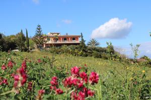 a house on a hill with a field of flowers at I Cardinali in Santa Marinella