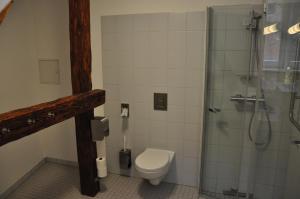 a bathroom with a toilet and a shower at Zentrum Kloster Lehnin in Lehnin
