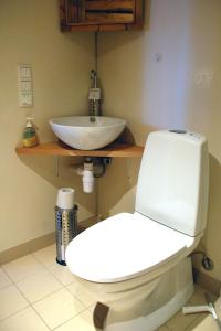 a bathroom with a white toilet and a sink at Regnbuegården in Røros +22 photos