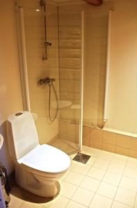 a bathroom with a toilet and a shower at Regnbuegården in Røros