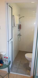 a bathroom with a shower and a toilet at RedDoorz at Geylang in Singapore
