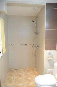 La salle de bains est pourvue d'une douche et de toilettes. dans l'établissement Hotel Alpin - 91 Bansko, à Bansko