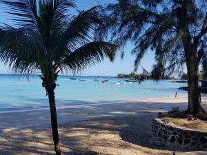 una palmera en una playa con barcos en el agua en Lapiroguevilla[Tourist resident], en Pereybere