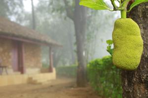 Fotografie z fotogalerie ubytování Saj Vagamon Hideout v destinaci Vagamon