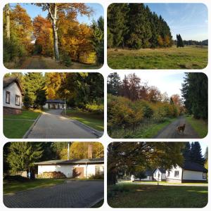 grupa czterech zdjęć różnych domów i drzew w obiekcie Ferienpark Ebertswiese w mieście Seligenthal