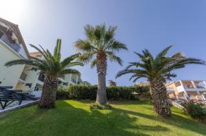 Vrt ispred objekta Sea View Hotel