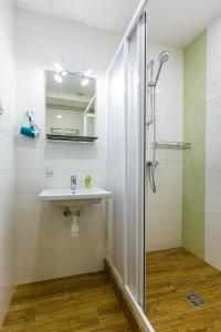 uma casa de banho com um chuveiro e um lavatório. em BonApart Delux em Lviv