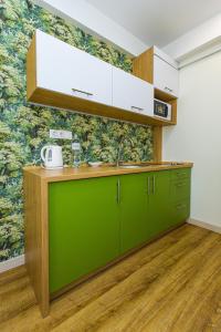 a kitchen with green cabinets and a green wall at BonApart Delux in Lviv