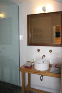 a bathroom with a sink and a mirror at B&B De Leeghpoel in Rumpt
