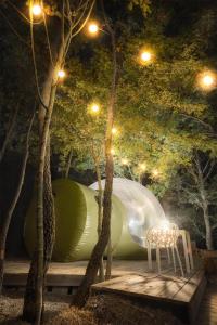 Aed väljaspool majutusasutust Atmosfera Bubble Glamping