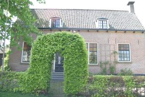 een gebouw met een groot raam met klimop bij B&B De Leeghpoel in Rumpt