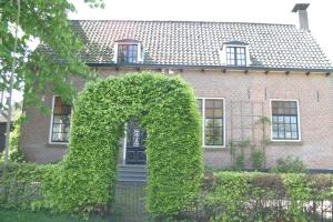 a building with a large ivy covered window at B&B De Leeghpoel in Rumpt