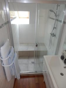een badkamer met een douche en een wastafel bij Chez Blandine & Pol in Hardelot-Plage