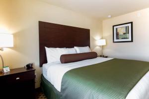 Postel nebo postele na pokoji v ubytování Cobblestone Inn & Suites - Eads