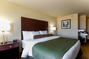 Postel nebo postele na pokoji v ubytování Cobblestone Inn & Suites - Eads