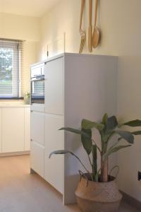 A kitchen or kitchenette at Vakantiewoning Lescaut