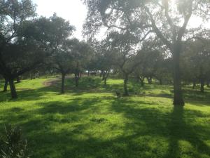 Vonkajšia záhrada v ubytovaní Casa Rural Monterrey Aroche