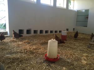 Fotografia z galérie ubytovania Casa Rural Monterrey Aroche v destinácii Aroche