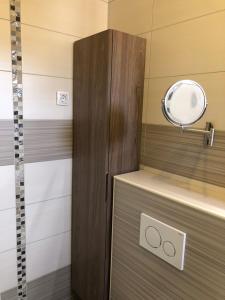 克拉尼斯卡戈拉APARTMA CARPE DIEM的一间带镜子和淋浴的浴室 更多25张照片