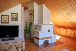 TV a/nebo společenská místnost v ubytování Appartment Moosbrugger