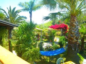 un jardin avec des palmiers et des fleurs dans une maison dans l'établissement B&B Meligrana, à Capo Vaticano