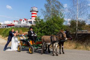 Hosté ubytování Der LeuchtTurm-Gastro GmbH