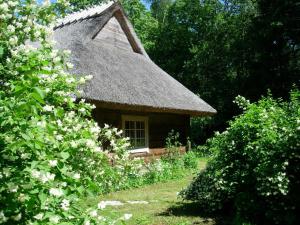 Градина пред Kotka Farm