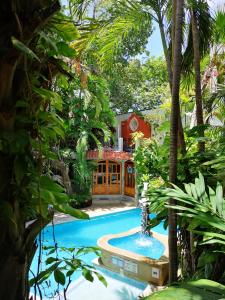 Bazén v ubytovaní Eco-hotel El Rey del Caribe alebo v jeho blízkosti