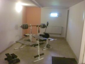 Fitness centrum a/nebo fitness zařízení v ubytování Hotel & Restaurant "Zum Firstenstein"