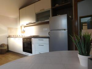 Kuchyň nebo kuchyňský kout v ubytování Apartments Žile