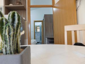 Fotografie z fotogalerie ubytování Apartments Žile v destinaci Starigrad-Paklenica