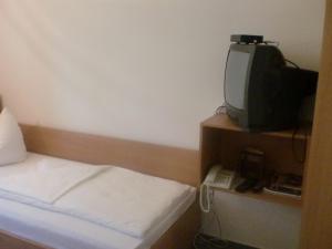 TV a/nebo společenská místnost v ubytování Hotel & Restaurant "Zum Firstenstein"