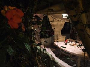 Φωτογραφία από το άλμπουμ του Vacanze Toscane In The Seaside σε Marina di Castagneto Carducci