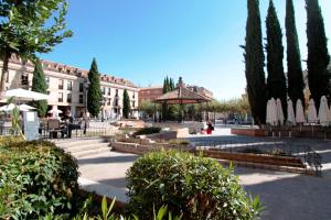 Vonkajšia záhrada v ubytovaní Apartamento Plaza España Las Rozas