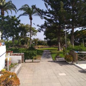 a park with palm trees and a walkway at Villa maravillosa in San Bartolomé de Tirajana