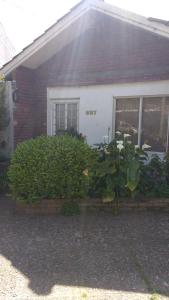 Κήπος έξω από το las marias