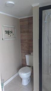 La salle de bains est pourvue d'une douche et de toilettes blanches. dans l'établissement las marias, à Mar del Plata