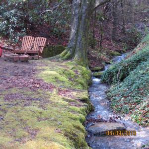 a tree sitting next to a stream with a bench at Cozy Creek Cabin in Pigeon Forge