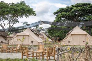 Zahrada ubytování The Acacia Glamping Park