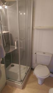 a bathroom with a toilet and a glass shower at Studio lumineux et confortable in Chaumont