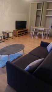 a living room with a couch and a table and a tv at Studio lumineux et confortable in Chaumont