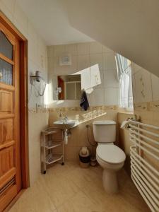 a bathroom with a toilet and a sink at Pokoje i Apartamenty Regionalny Styl ul Króle 1a Zakopane in Zakopane