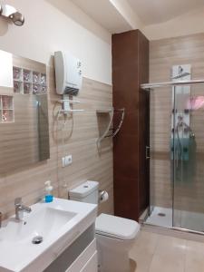 een badkamer met douche, toilet en wastafel bij Loft céntrico y confortable in Jerez de la Frontera