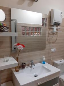 een badkamer met een wastafel en een vaas met een bloem bij Loft céntrico y confortable in Jerez de la Frontera +19 foto's