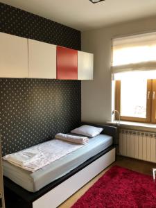 Fotografia z galérie ubytovania Premium Apartment v destinácii Radom