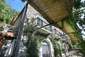
a building with a large window and some trees at Colle dell'Ara in Positano
